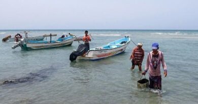اليمن.. العثور على جثث 7 صيادين بعد أيام من فقدانهم
