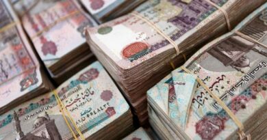 ارتفاع مبيعات أذون الخزانة المصرية في أعقاب انخفاض العملة