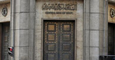 "المركزي" المصري: الاحتياطي الأجنبي يرتفع للشهر الخامس على التوالي