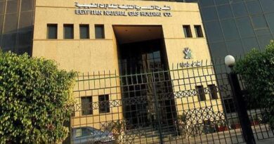 رئيس إيجاس: إنتاج الغاز المصري مستقر ونخطط لتوسيع الحفر
