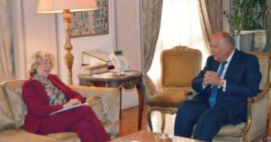 اهتمام مصري ـ إيطالي بتعزيز التعاون ومواجهة «الهجرة غير المشروعة»