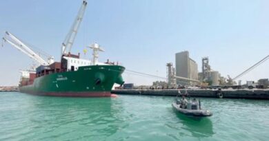 اليمن يهدد بمعاقبة شركات الملاحة التي تتعاون مع الحوثيين