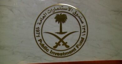 "موديز" تغير النظرة المستقبلية لصندوق الاستثمارات من مستقرة إلى إيجابية