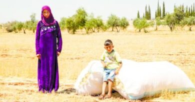 التكامل الاقتصادي أمام وزراء زراعة سوريا ولبنان والعراق والأردن
