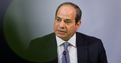 الرئيس المصري يعلن حزمة إجراءات تشمل زيادة الحد الأدنى للأجور والمعاشات