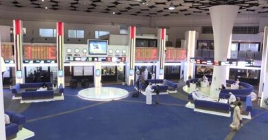 الشركة المالكة لـ"دوبيزل" تدرس طرح أسهمها في الإمارات