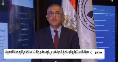 "هيئة الاستثمار": مصر تستهدف تعميم تجربة الرخصة الذهبية لكافة الصناعات