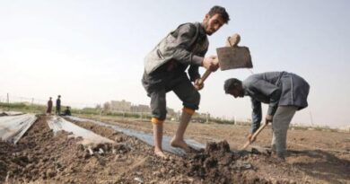 الحوثيون يصادرون الأراضي في إب ويمنحونها لعناصرهم