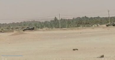 فيديو.. لحظة اعتقال الجيش لقائد الدعم السريع في مروي