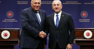 هل تمهّد زيارة شكري إلى أنقرة لقمة السيسي وإردوغان؟
