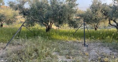 الجيش اللبناني يعثر على صواريخ.. إسرائيل تتهم حماس وتحمل بيروت المسؤولية