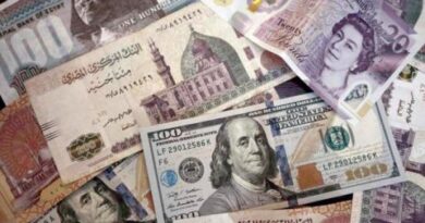 بين الذهب والدولار... أين يحفظ المصريون قيمة أموالهم؟