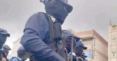 انقلابيو اليمن يستنفرون مسلحين مقنعين في إب لقمع السكان