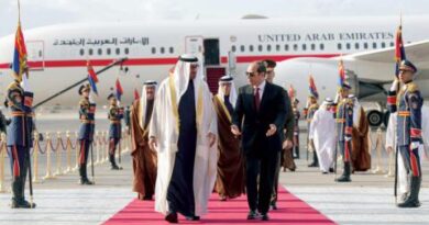 السيسي ومحمد بن زايد يبحثان ترسيخ الاستقرار بالمنطقة