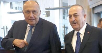 لقاء السيسي ـ إردوغان ينتظر تبادل السفراء