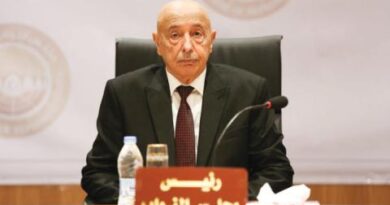صالح يحض على إنجاز قوانين الانتخابات الليبية