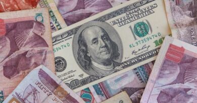 خبير للعربية: اضطراب الجنيه مسؤول عن 70% من التضخم في مصر