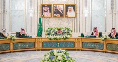 مجلس الوزراء السعودي يقر التأمين الصحي للعمالة المنزلية الأكثر من 4