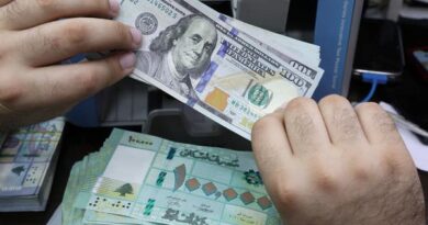 البنك الدولي يحذر لبنان من زيادة الاعتماد على الدولار