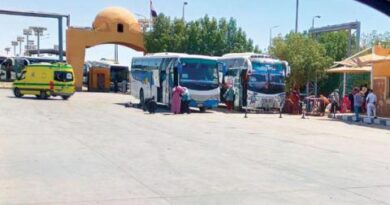 النازحون السودانيون إلى مصر يُركِّزون على «وادي حلفا»