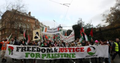 تناصر تاريخيا فلسطين.. أيرلندا في طريقها لدعم دعوى جنوب أفريقيا