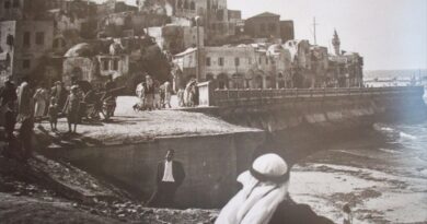 العشائر الفلسطينية ومخططات الاحتلال