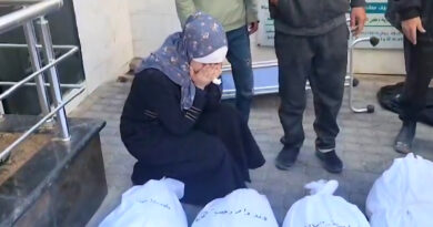 عاشت الرعب الحقيقي.. مقتل الطفلة هند شهادة جديدة على وحشية الاحتلال