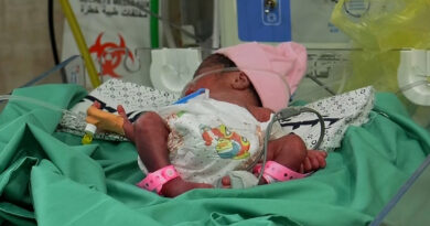 كاميرا الجزيرة ترصد معاناة الأطفال الرضع بمستشفى كمال عدوان الطبي