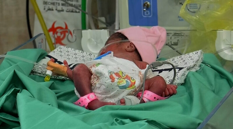 كاميرا الجزيرة ترصد معاناة الأطفال الرضع بمستشفى كمال عدوان الطبي