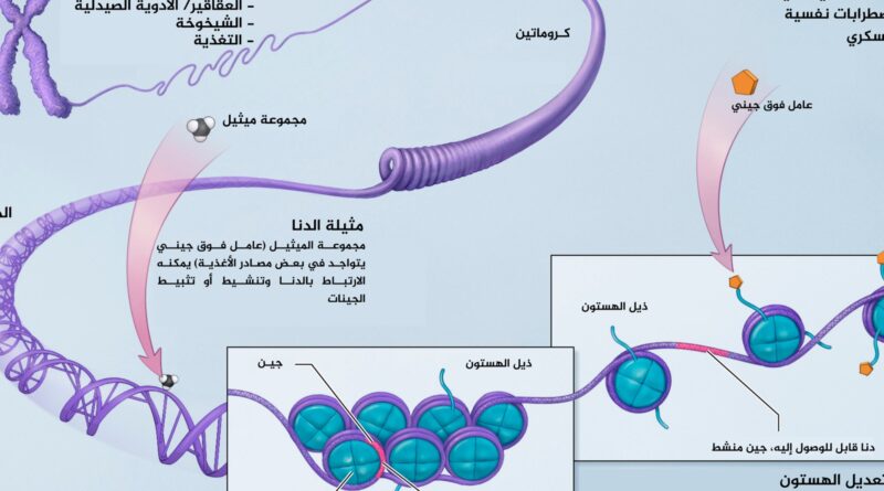 ذئاب تعيش قرب محطة تشيرنوبل بأوكرانيا تطور جينات مقاومة للسرطان