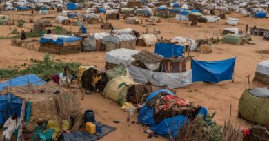 نزوح جماعي لأهالي الفاشر بعد تجدد القتال بين الجيش السوداني والدعم السريع