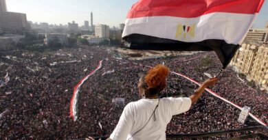 "أوديب في الطائرة".. رواية تكشف السر الأهم للثورة المصرية