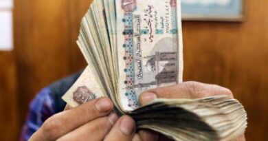 الجنيه المصري يستقر عند 49.5 للدولار بعد تحرير سعر الصرف والاتفاق مع صندوق النقد
