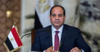 الرئيس المصري يقول إن سعر الصرف المرن أصبح ممكنا بعد التمويل الجديد