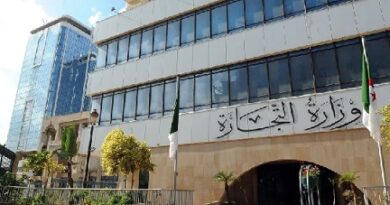 صندوق النقد الدولي: النظرة المستقبلية للجزائر إيجابية في الأجل القريب