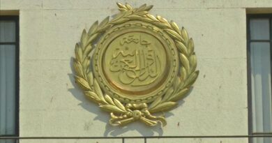 عن "الدولة القُطرية" وبدائلها
