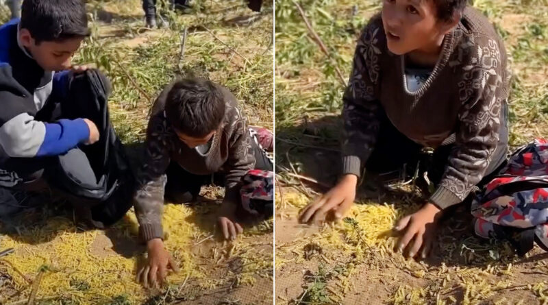 فطور وسحور غزة.. مياه وبقايا معكرونة مخلوطة بالرمال