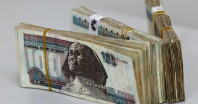 تهاوي الجنيه المصري يشعل منصات التواصل