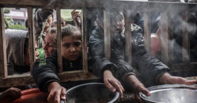 أول سفينة لنقل مساعدات إلى غزة تتخلف عن موعدها