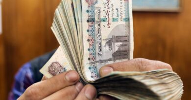 الجنيه المصري يتجاوز 49 أمام الدولار بعد تحرير سعر الصرف